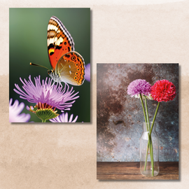 Everyday Card - Butterfly & Vase (Pack of 6, 3 of each design)