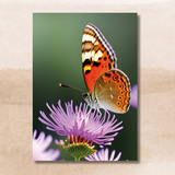 Everyday Card - Butterfly & Vase (Pack of 6, 3 of each design)